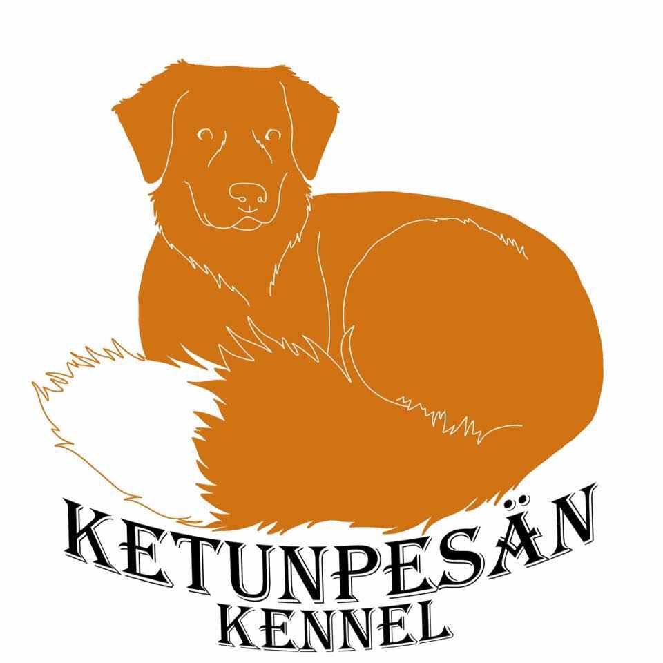 https://ketunpesan-kennel.webnode.fi/